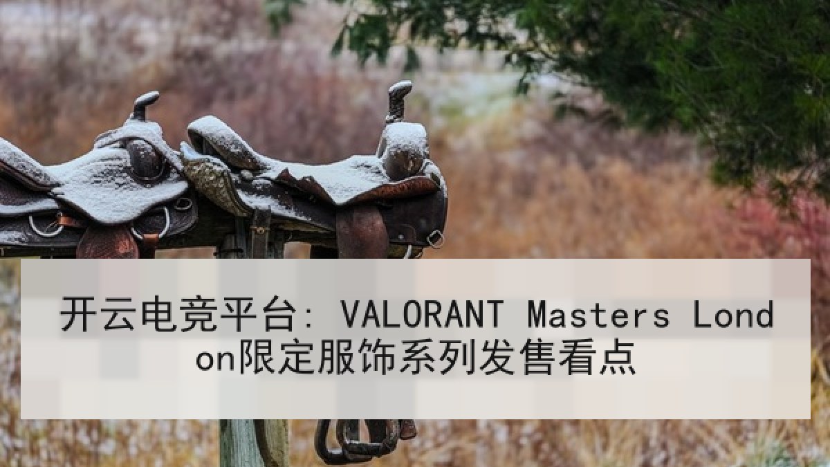 开云电竞平台: VALORANT Masters London限定服饰系列发售看点