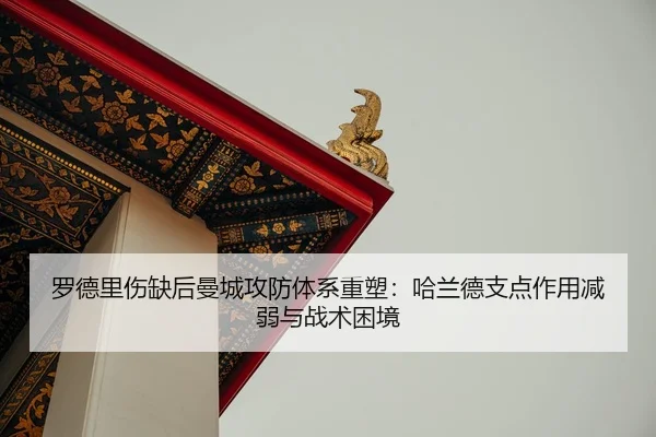 luo-de-li-shang-que-hou-man-cheng-gong-fang-ti-xi-zhong-su-ha-lan-de-zhi-dian-zuo-yong-jian-ruo-yu-zhan-shu-kun-jing-3-725.jpg
