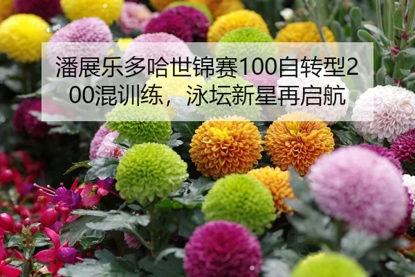 潘展乐多哈世锦赛100自转型200混训练，泳坛新星再启航