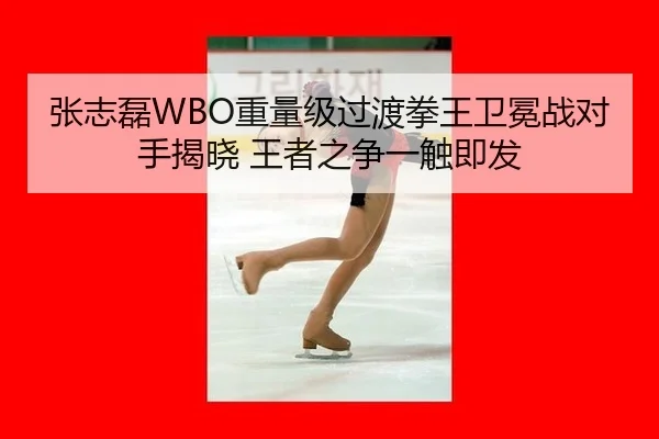 zhang-zhi-lei-zhong-liang-ji-guo-du-quan-wang-wei-mian-zhan-dui-shou-jie-xiao-wang-zhe-zhi-zheng-yi-chu-ji-fa-2-807.jpg