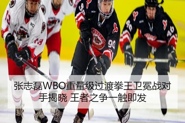 zhang-zhi-lei-zhong-liang-ji-guo-du-quan-wang-wei-mian-zhan-dui-shou-jie-xiao-wang-zhe-zhi-zheng-yi-chu-ji-fa-3-294.jpg